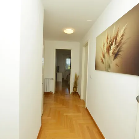 Deluxe 5d Zára